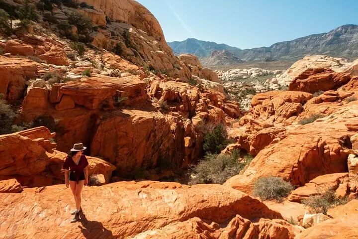 Panoramic Red Rock Canyon Scenic Loop Tour - Primary Image