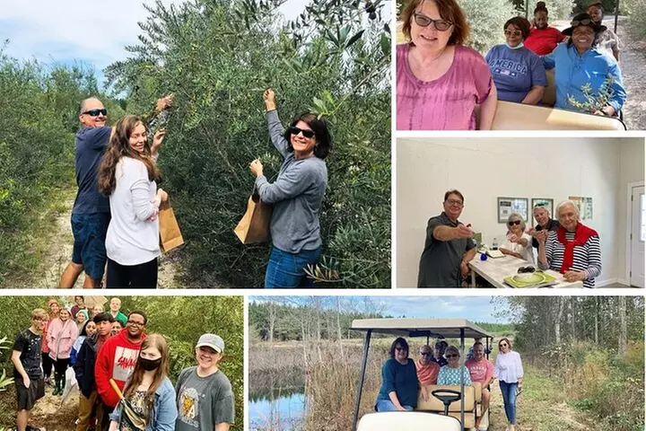 The Olive Grove Tour