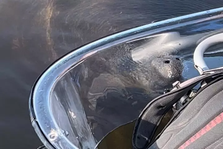 Clear Kayak Ecotour at Robinson Preserve in Bradenton, Florida