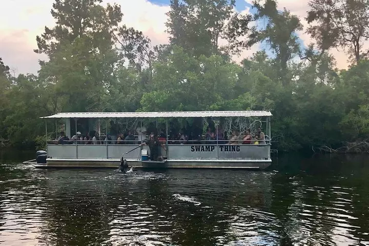 Full Day Plantation -N- Swamp Tour in New Orleans