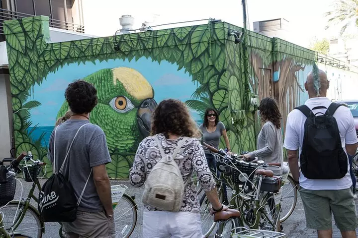 St Pete Awesome Mural Biking Tour