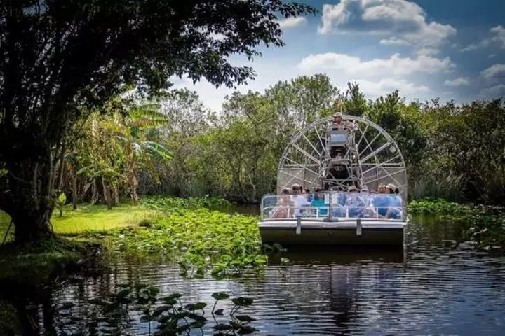 Everglades Wildlife Tour: Airboat & Alligator Habitat Experience