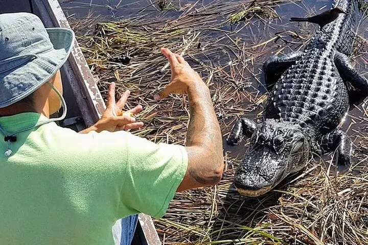 Miami Triple combo: City, Boat and Everglades tour (2 days)