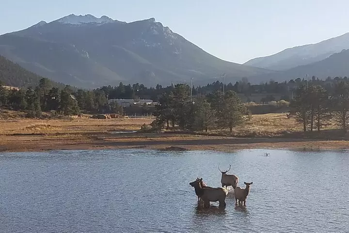Rocky Mountain National Park in Summer Tour from Denver