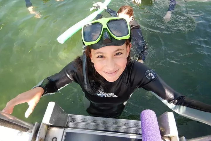 Private 'OG' Manatee Snorkel Tour with Guide for up to 10 people