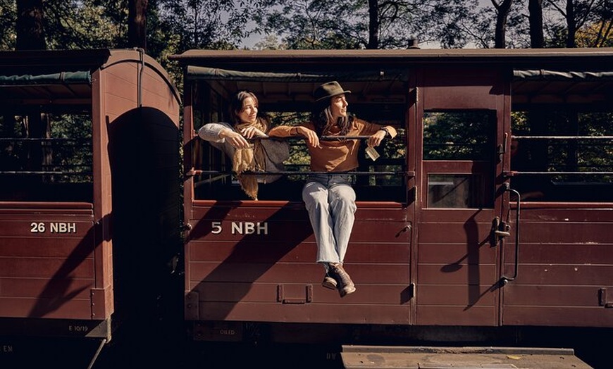 Image 5: Puffing Billy & Rainforest Tour from Melbourne