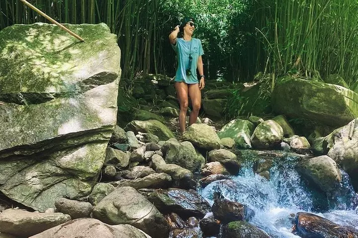 Epic Waterfall Adventure, the Best of Maui