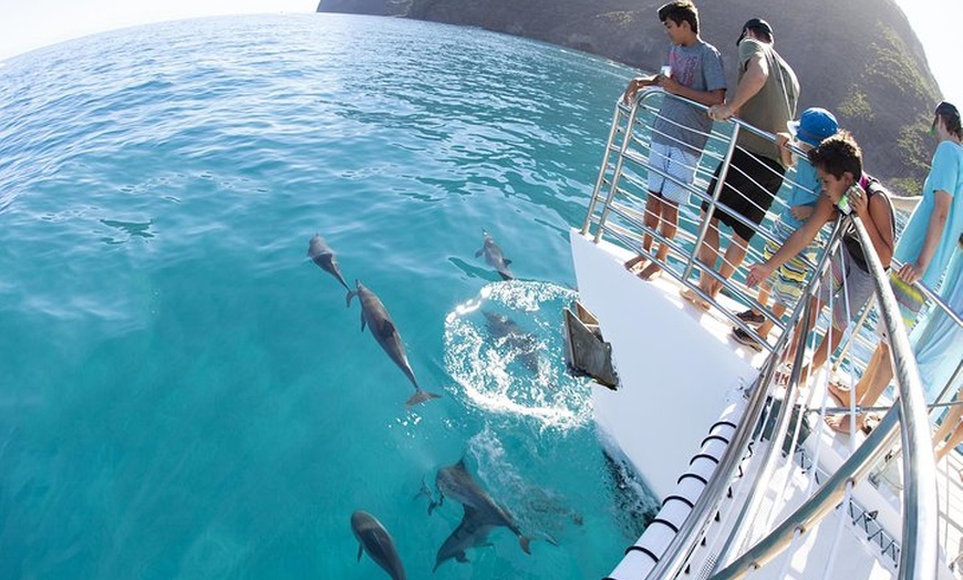 Kauai Sea Tours - Kauai Sea Tours | Groupon