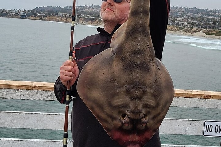 2-Hour San Diego Pier Fishing Experience