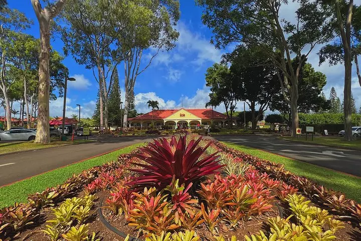 Diamond Head Hiking and Oahu Island Experience feat. North Shore