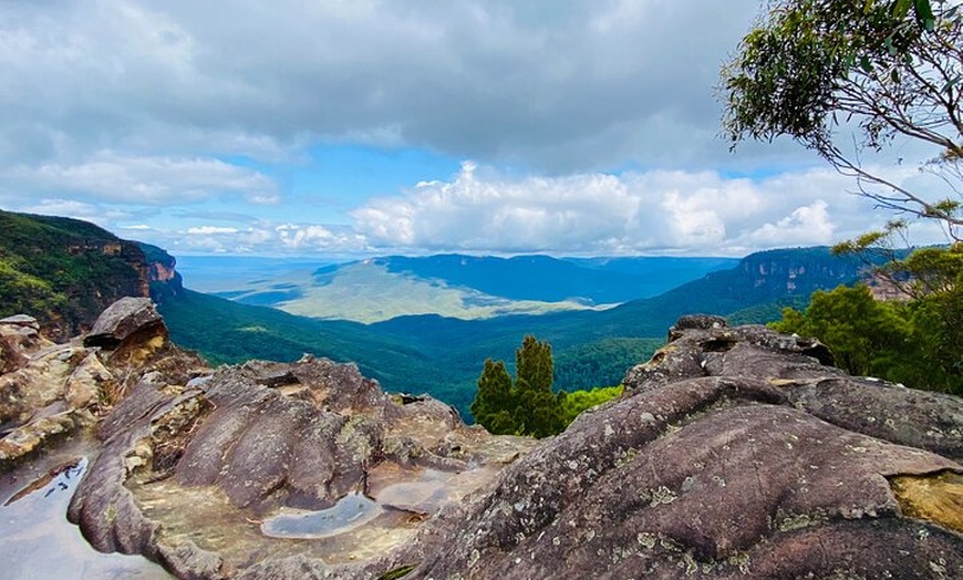 Image 6: Sydney: PRIVATE Blue Mountains, Wildlife & Cruise Luxe Tour (10h)