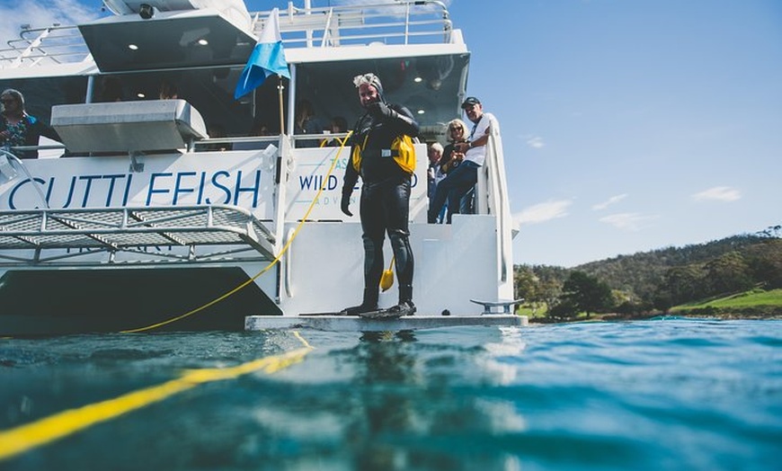 Image 11: Deep-to-Dish: Tasmanian Seafood Experience