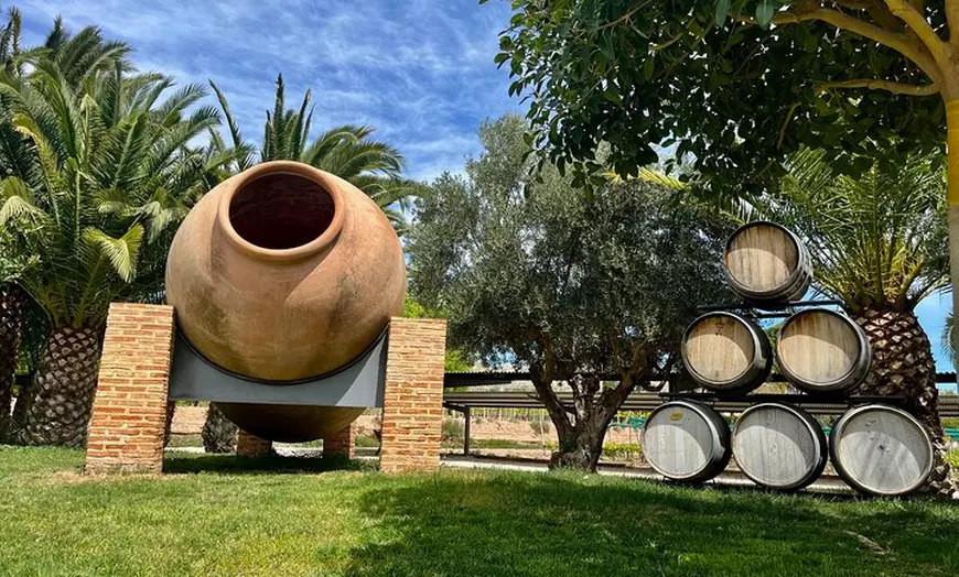 Image 2: Alicante: Ruta del Vino con 3 Catas & Castillo La Mola
