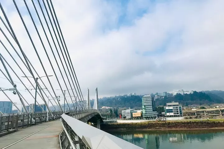 Bike Around Portland Oregon: Art, Culture, Bridges, Poetry
