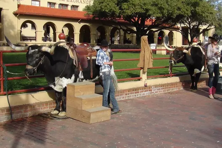 Dallas and Fort Worth City Sightseeing Tour Small-Group