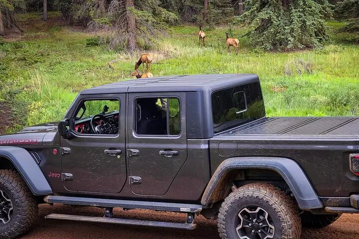Woodland Park: 4-Hour Self-Guided Jeep Mountain Tour - You Drive