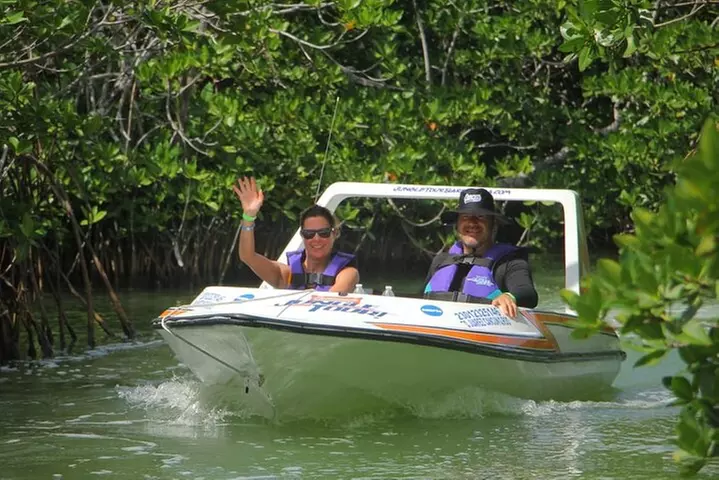 Mangrove and Lagoon Speed Boat Tour - Primary Image