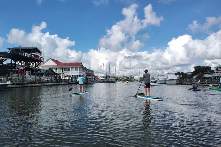 Charleston/Folly Beach Stand up Paddleboard Tour