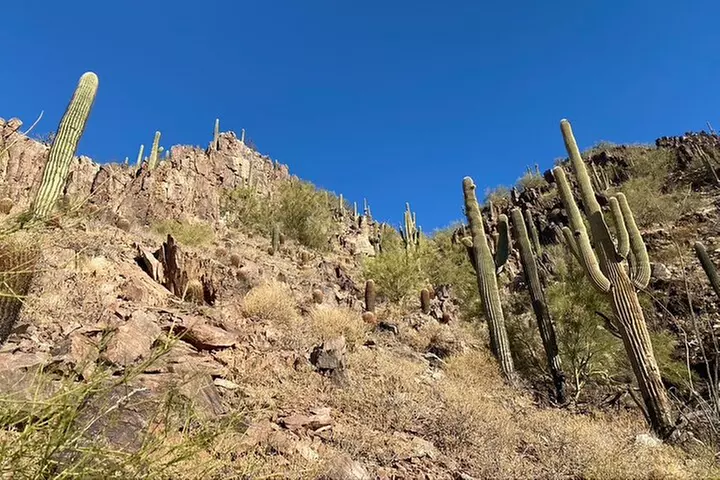 Amazing 2-Hour Guided Hiking Adventure in Phoenix, Arizona