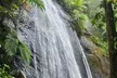 El Yunque National Rainforest and Luquillo Beach Tour - Second Medium