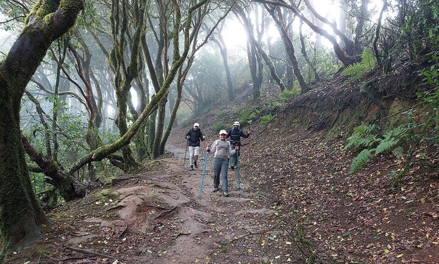 Image 18: Senderismo en el cañón de Cuevas Negras en Tenerife