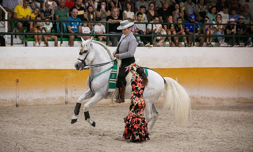 Image 1: Espectáculo de Caballos Andaluces y Flamenco con transporte