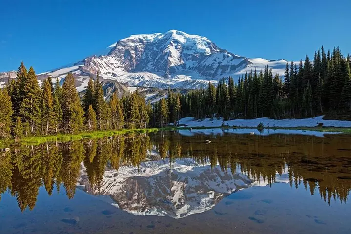 From Portland to Mt. Rainier Tour in a small group - Primary Image