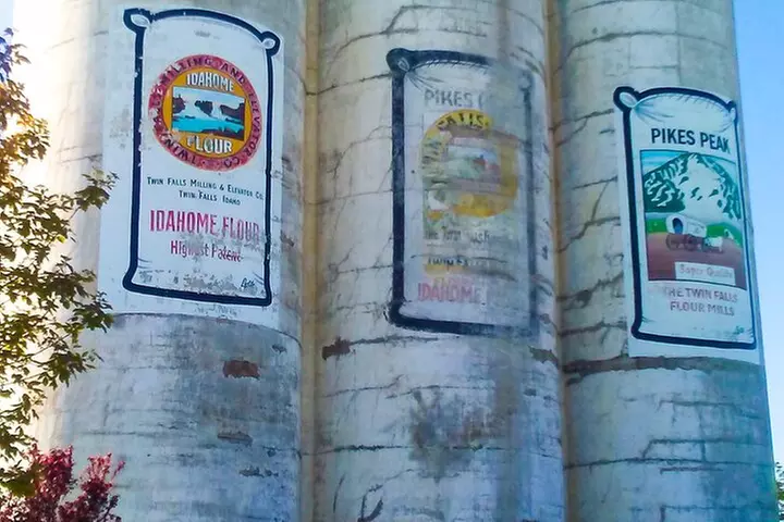 Guided Half-Day Tour to Shoshone Falls & City Tour