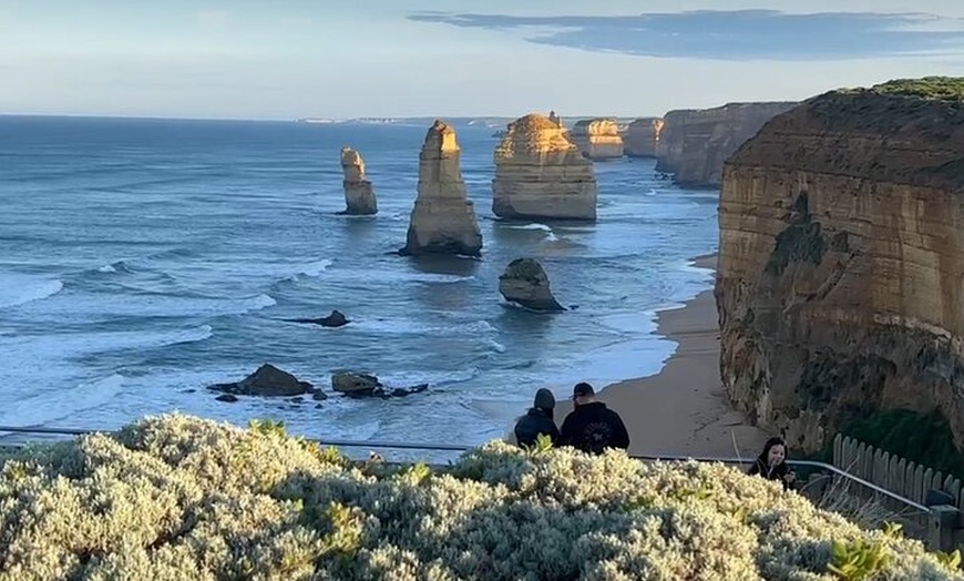 Image 14: Great Ocean Road 12 Apostles kangaroo & koala tour