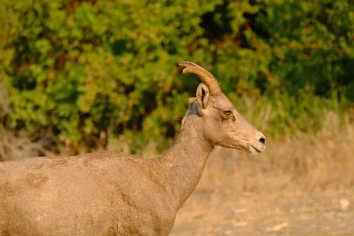 Whitewater Rafting - Full Day with Lunch