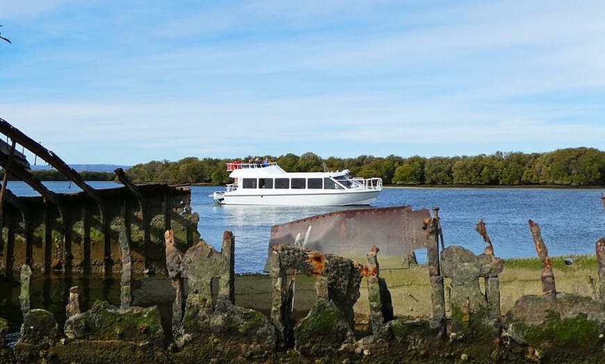 Image 2: 90 Minute Port River Dolphin & Ships Graveyard Cruise