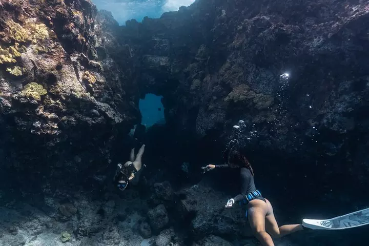 Private Kealakekua Bay Snorkel with Dolphin Watch