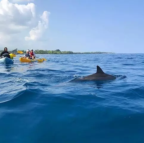 Guided Outrigger Canoe Tour in Kealakekua Bay
