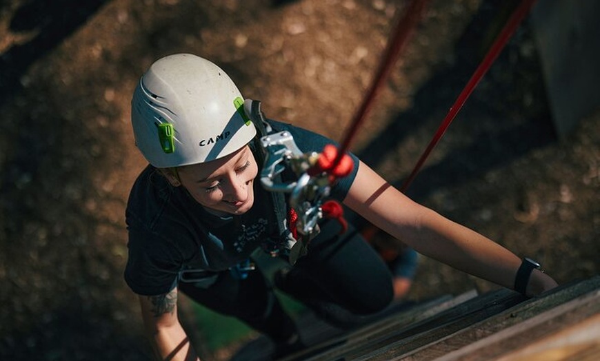 Image 4: Forest Adventures