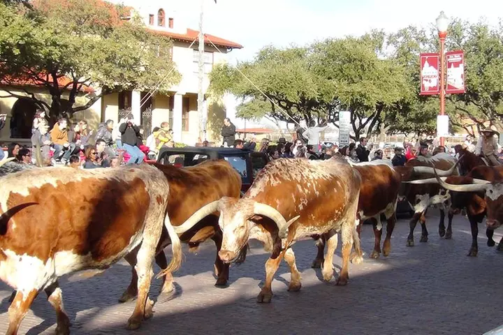 Dallas and Fort Worth City Sightseeing Tour Small-Group