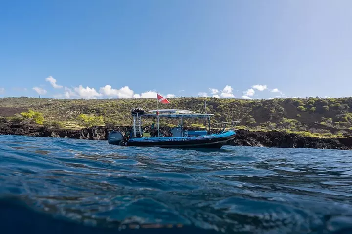 Private Kealakekua Bay Snorkel with Dolphin Watch