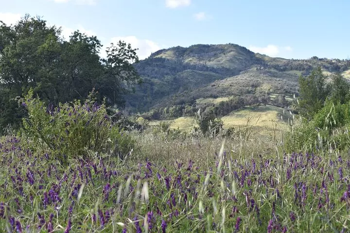 Napa Valley Self-Guided Audio Driving Tour