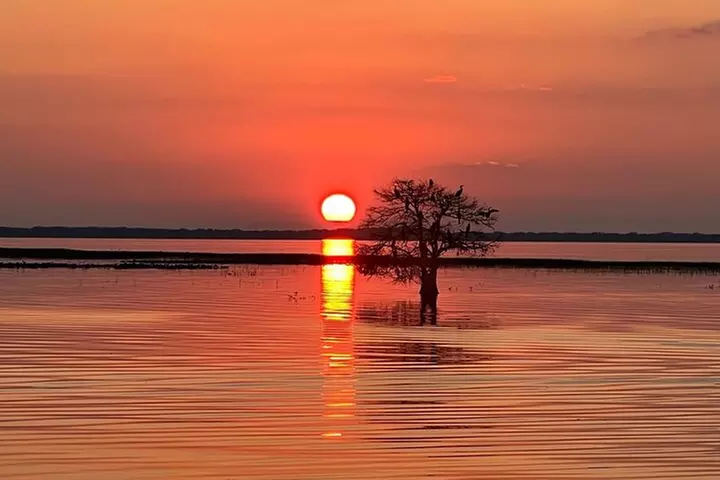 1-Hour Sunset Airboat Ride near Orlando