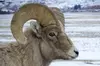 Take a Sunset Tour of Grand Teton National Park