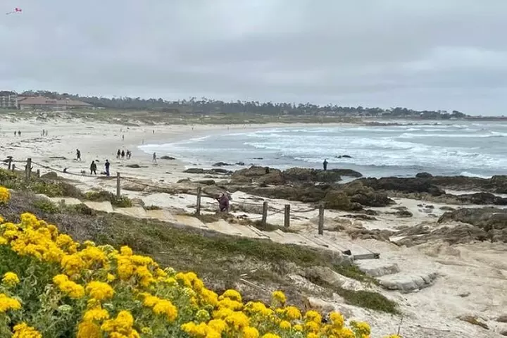 17-Mile Drive Electric Bike Guided Tour