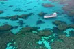 Quicksilver Great Barrier Reef Snorkel Cruise from Port Douglas - Image 6