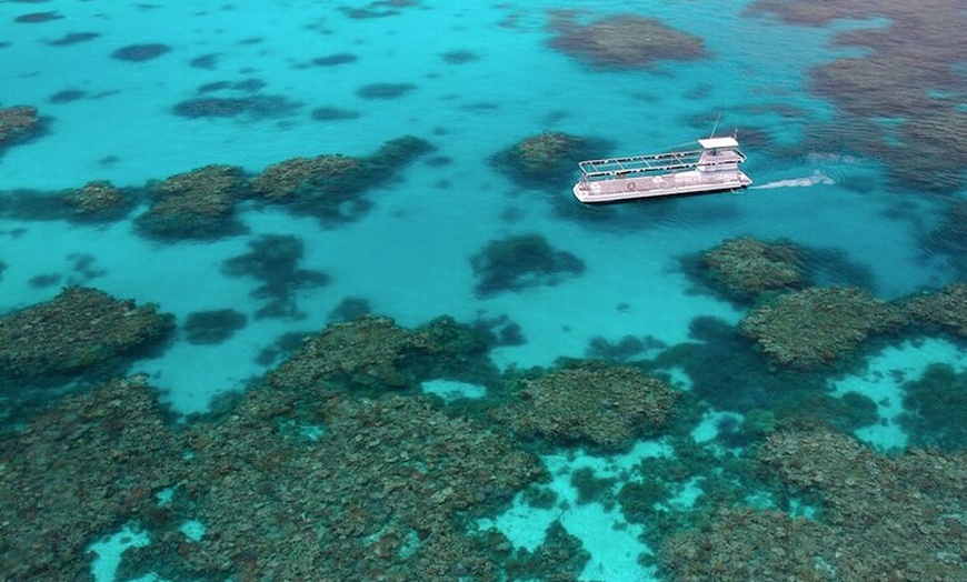 Image 5: Quicksilver Great Barrier Reef Snorkel Cruise from Port Douglas