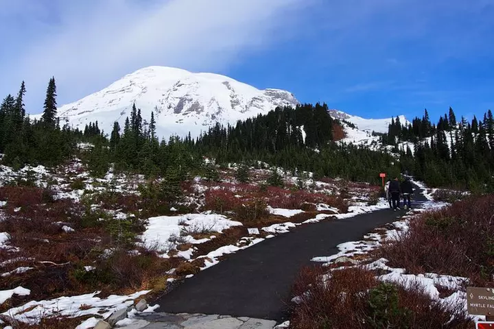 Mt. Rainier Day Tour from Seattle