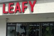 5% Cash Back at Leafy - Second Medium