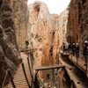 Image 4: Excursión al Caminito Del Rey desde Málaga en autobús