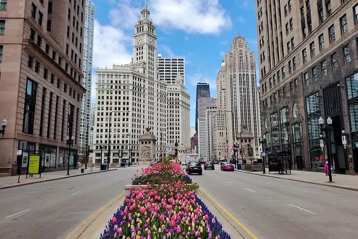 Chicago City Minibus Tour