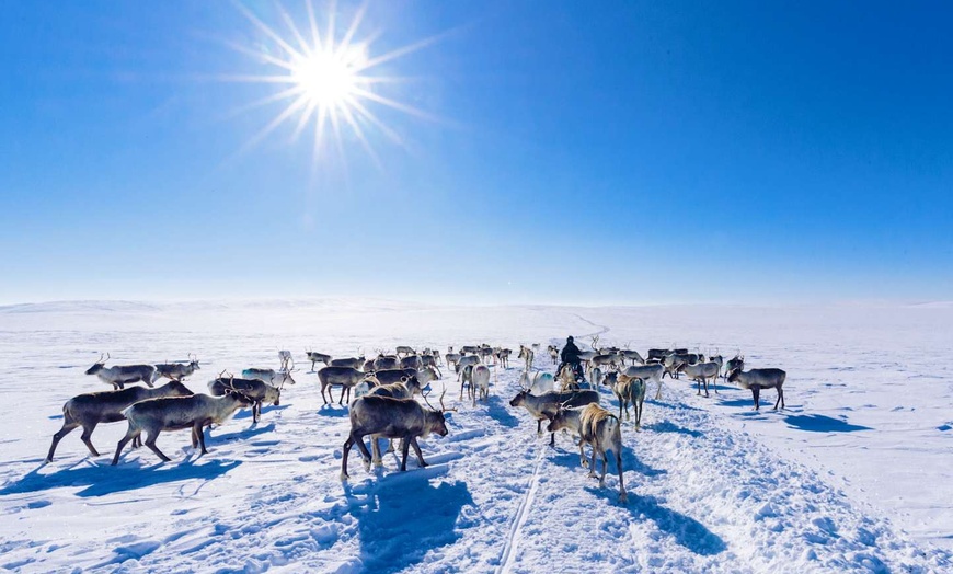 Image 8: ✈ FINLANDE | De Helsinki à Rovaniemi - Aventure Polaire & Igloo 3*,...