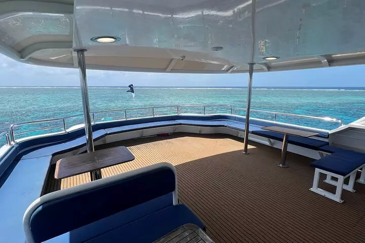 Great Barrier Reef Snorkeling and Diving Cruise from Cairns