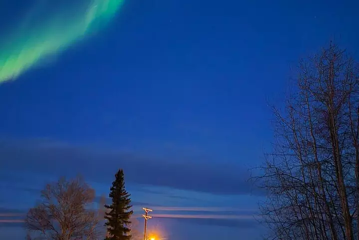 Denali National Park Shuttle