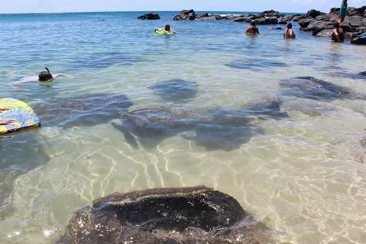 Oahu Circle Island: Snorkel with Turtles & Explore Turtle Beach